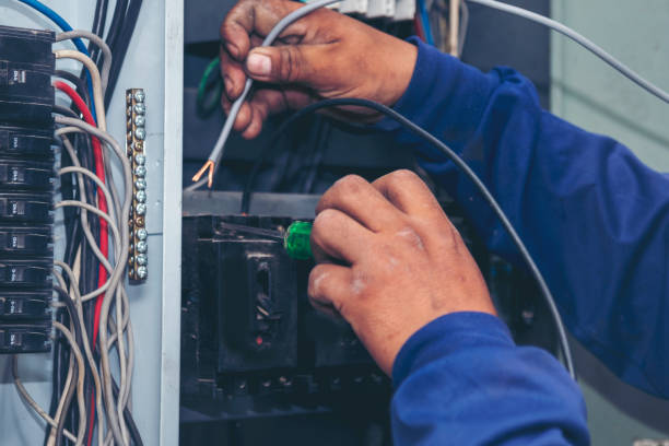 Best Electric Panel Repair  in Roscoe, TX