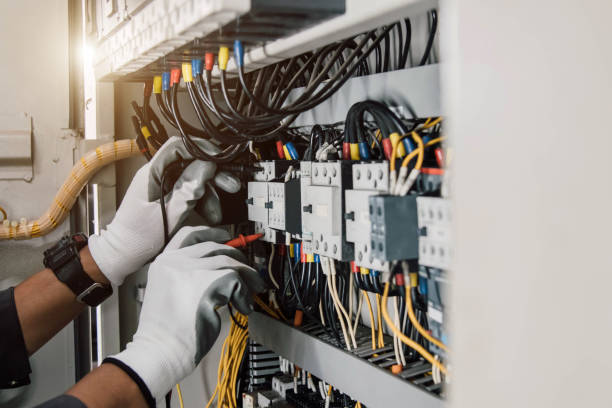 Best Affordable Electrician  in Roscoe, TX